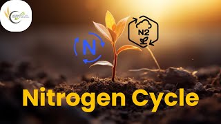 Nitrogen Cycle  Biological Nitrogen Fixation  Microorganisms  Fertilizer Role  PlantNutrients [upl. by Eellac]