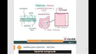 Celiac Disease Tropical Sprue Whipple Disease [upl. by Arabrab672]