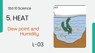 Dew point and Humidity L3 [upl. by Hammock]