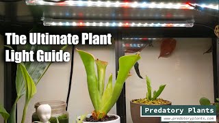 The Ultimate Plant Light Guide [upl. by Zonnya589]