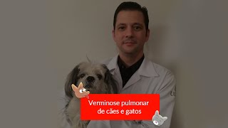 Verminoses pulmonares em cães e gatos [upl. by Assetniuq897]