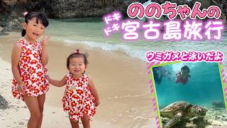 【宮古島】今夏最後の思い出づくり🌺ウミガメと泳ぐシュノーケリング体験🤿ののちゃんひーちゃん大興奮の5泊6日の旅🏝️ [upl. by Diandre32]