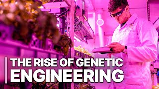 The Rise Of Genetic Engineering  GeneEditing Technology  Science Documentary [upl. by Farmer]