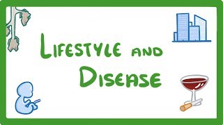 GCSE Biology  Is Your Lifestyle Really a Personal Choice  Lifestyle amp Risk Factors 42 [upl. by Ethelind460]