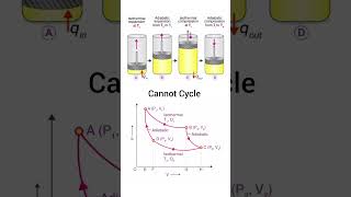 Carnot Cycle [upl. by Rexana]