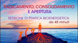 Radicamento Consolidamento e Apertura sessione base di Bioenergetica [upl. by Ainesell]