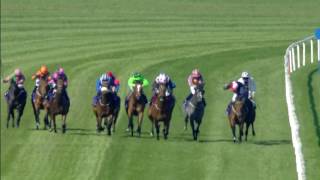 Leopardstown Highlights 8th April 2017 [upl. by Leander]