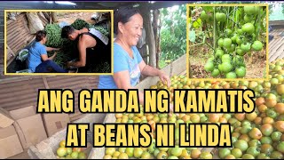 ANG GANDA NG KAMATIS AT BEANS NI LINDA [upl. by Oigaib]