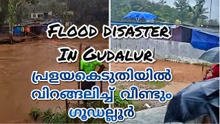 The Flood Disaster In Gudalur [upl. by Arded]