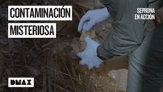 ¿Qué contienen estos sacos viscosos abandonados en el bosque  Seprona en acción [upl. by Koenig672]