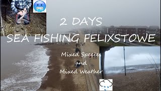 2 Days Beach Fishing Felixstowe  Mixed species and mixed weather [upl. by Jolyn]