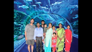 VGP Marine Kingdom Chennai [upl. by Deenya]