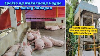 May Bagyo na naman l Malaking tulong kapag may Water Reservoir sa FarmklaritafarmFarming [upl. by Rojam]