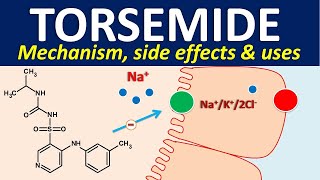 Torsemide  Mechanism side effects and uses [upl. by Birkle758]