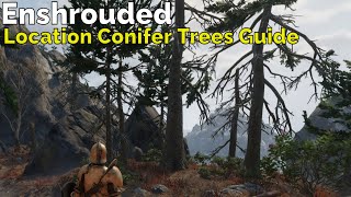 Enshrouded Location Conifer Trees Guide [upl. by Ahsieket]