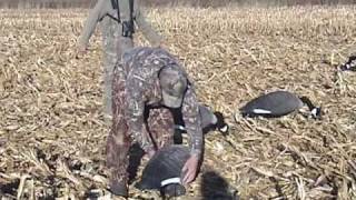 Waterfowling  Canada Goose Hunting Video [upl. by Ydnik282]