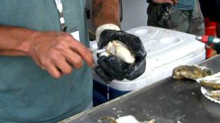 Oyster Shucking by Pepper Creek Shellfish Farm [upl. by Lynnet773]