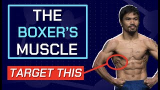 Develop the Serratus Anterior aka The Boxers Muscle [upl. by Brok181]