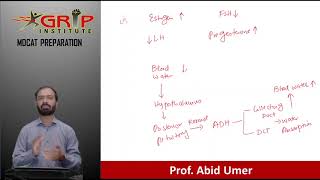 Feedback mechanism  profabidumar249 [upl. by Nnaylime]