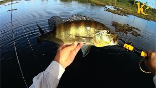 019  Pequenos Valentes Grandes Ataques Pesca com Caiaque [upl. by Adorl218]