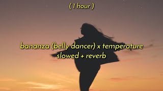 1 Hour  Bananza belly dancer x temperature slowedreverb tiktok version [upl. by Antonella]