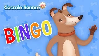 🐶 Bingo  altre canzoni per bambini  Coccole Sonore [upl. by Say772]