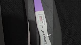 TTC 2  12 DPO  Pregnancy kit  HCG test  Negative  16 Oct 2024  Baby Bump ttcjourney [upl. by Kachine]