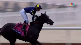 More Than Looks  The 2024 Breeders Cup Mile World Champion  Official Race Video [upl. by Imoyaba912]