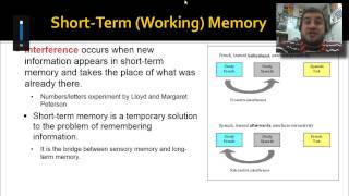 72 Stages of Memory [upl. by Pease]