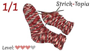 Einfache Socken im 6er Rippenmuster stricken leicht gemacht  Gesamt [upl. by Soph]