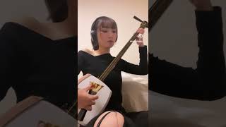 Snow  Red Hot Chili Peppers弾いてみた 和楽器 津軽三味線 三味線 shamisen 洋楽 レッチリ music カバー [upl. by Aneert992]