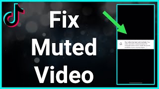 How To Fix A Muted Video On TikTok [upl. by Aihsikal]