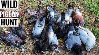 THE MOST gruesome N terrifying WILD pigeon HUNT YOU WILL EVER SEE ￼EPIC [upl. by Fakieh]