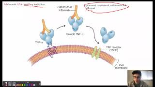 TNFalpha Inhibitors [upl. by Plath]