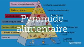 Résumé cours aliments nutriments biomolécules [upl. by Lenor]