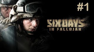 Six Days in Fallujah  Smrt s Karlosem 1  Action  FPS  Realistic  CZSK  PC [upl. by Hnahym]