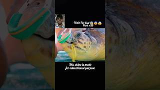 Part 59 fish from help me video youtubeshorts OllieSmithWildlifeFilm 🙏 shorts [upl. by Tewell600]