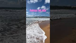 Beautiful beach in Palmas del Mar Puerto Rico palmasdelmar puertorico beachvibes [upl. by Procto]