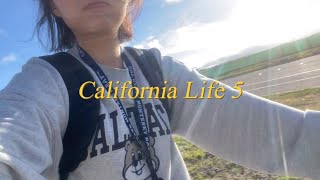 CSUMB 잔잔하고 재밌게 노는 일상  미국 교환학생 in California [upl. by Starr]