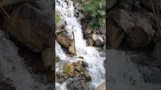 Little water fall in Bhutan [upl. by Aleka]