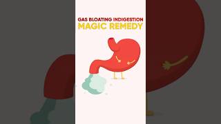 Gas  bloating  indigestion remedydigestion remedies help health youtube gas bloting [upl. by Acisset]