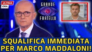 🔴GRANDE FRATELLOALFONSO SIGNORINI ARRABBIATO SQUALIFICA IMMEDIATA PER MARCO MADDALONI quotE STATOquot [upl. by Aymer202]