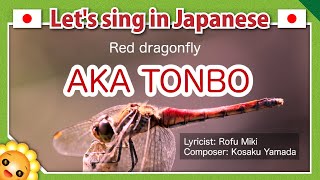 【Aka tonboあかとんぼ】Japanese folk songs in romaji｜red dragonfly [upl. by Oisorbma]