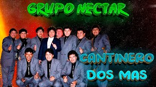 Cantinero dos mas  Grupo Néctar  En vivo [upl. by Llehsar280]