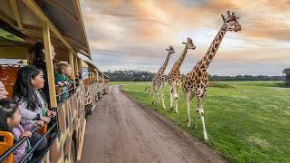 Werribee Open Range Zoo  Melbourne Victoria Australia [upl. by Cottrell]