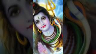 Om Namah Shivaya shiva songs Shivaya songs shorts youtubeshorts song status sanatandharma [upl. by Liagaba181]