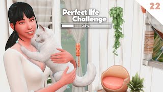 Perfect Life Challenge Ep22  sims 4 [upl. by Gayle]