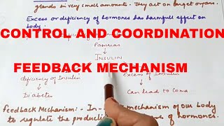 Class 10 Control and Coordination Feedback Mechanism [upl. by Constantine]