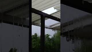 430pm update We lost part of our screen room roof hurricane hurricanehelene [upl. by Anrym]