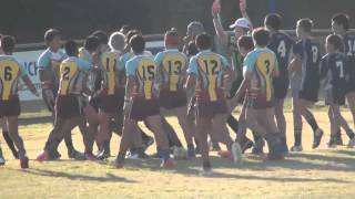 1482012 Keebra Park vs Coombabah U14 Fight [upl. by Eusassilem214]